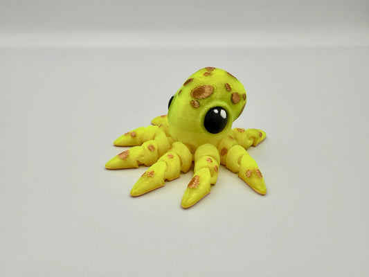 Kleiner Oktopus