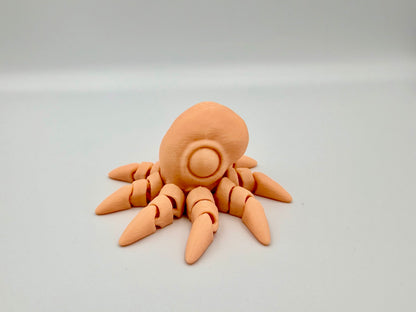 Kleiner Oktopus