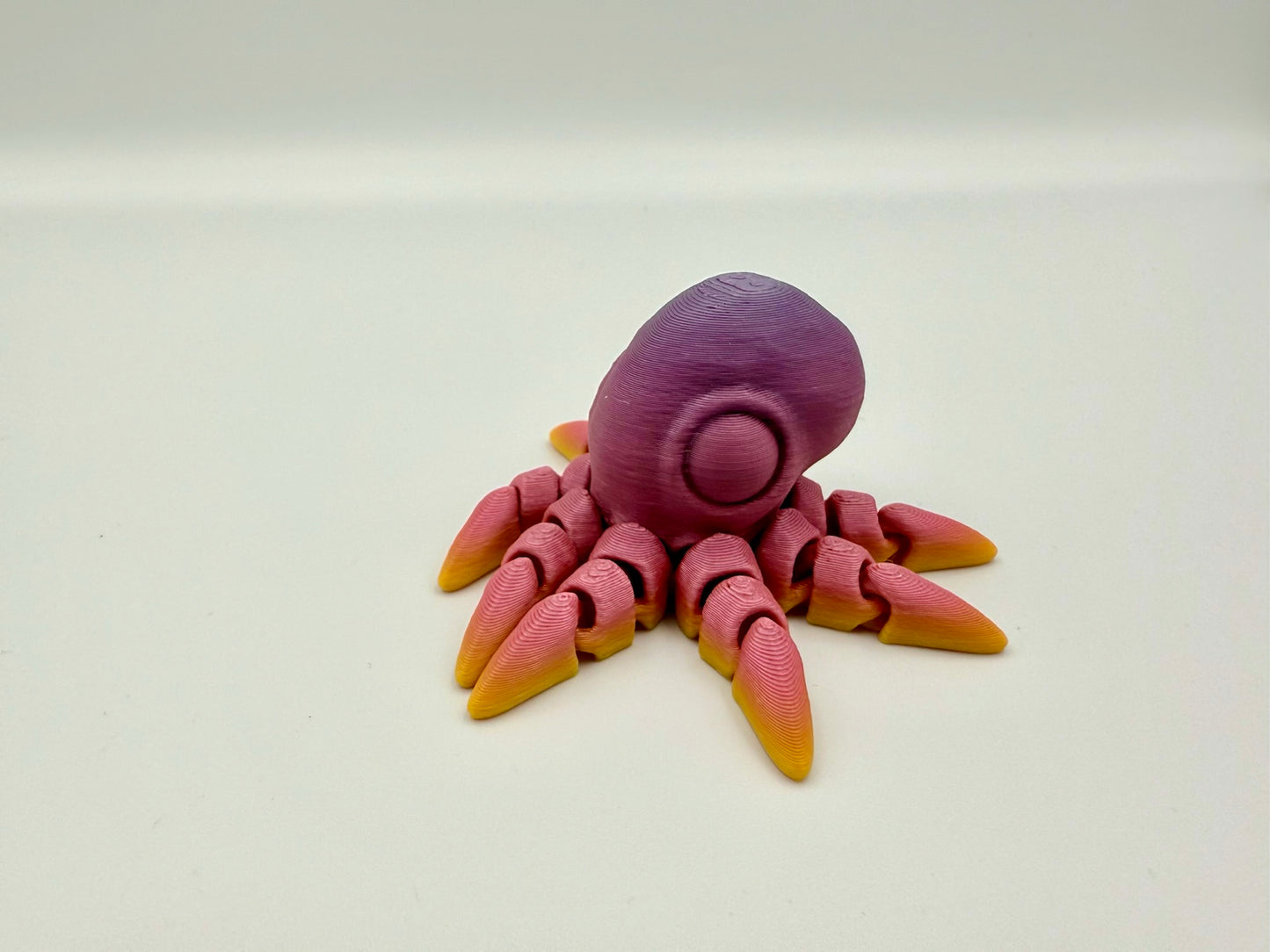 Kleiner Oktopus