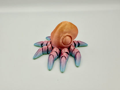 Kleiner Oktopus