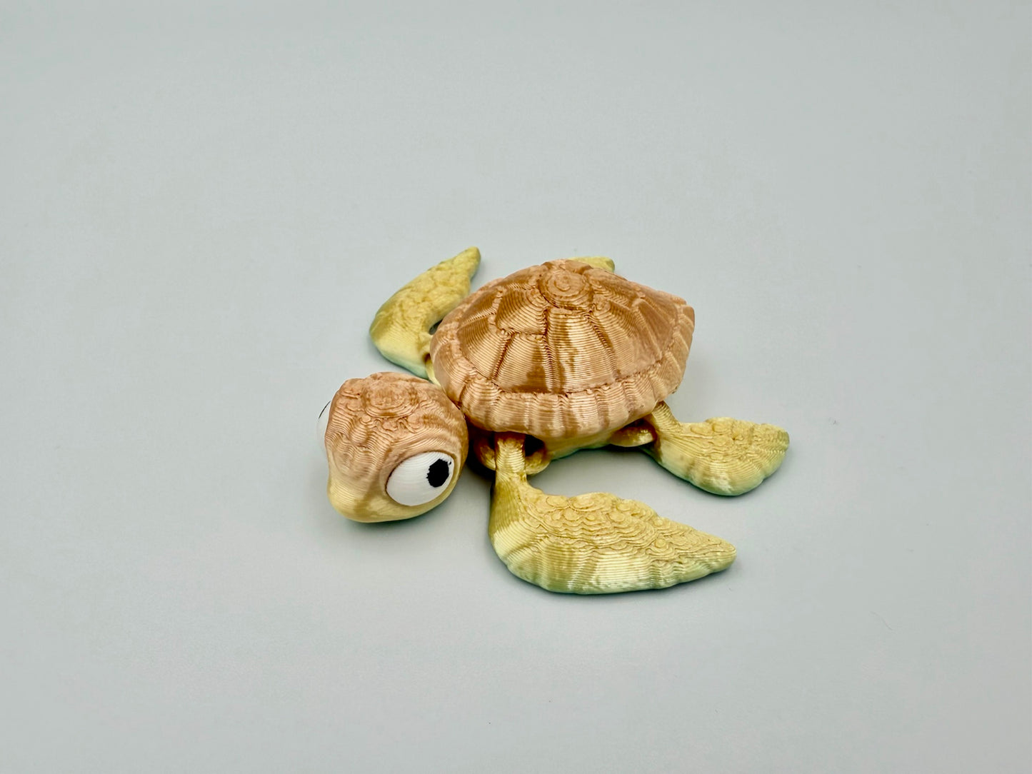 Kleine Schildkröte