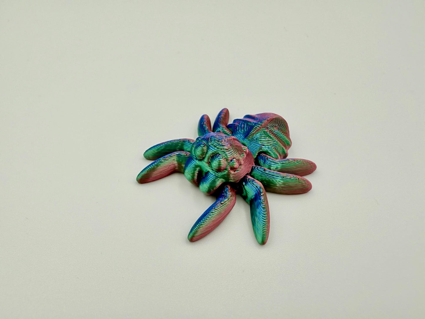 Kleine Spinne