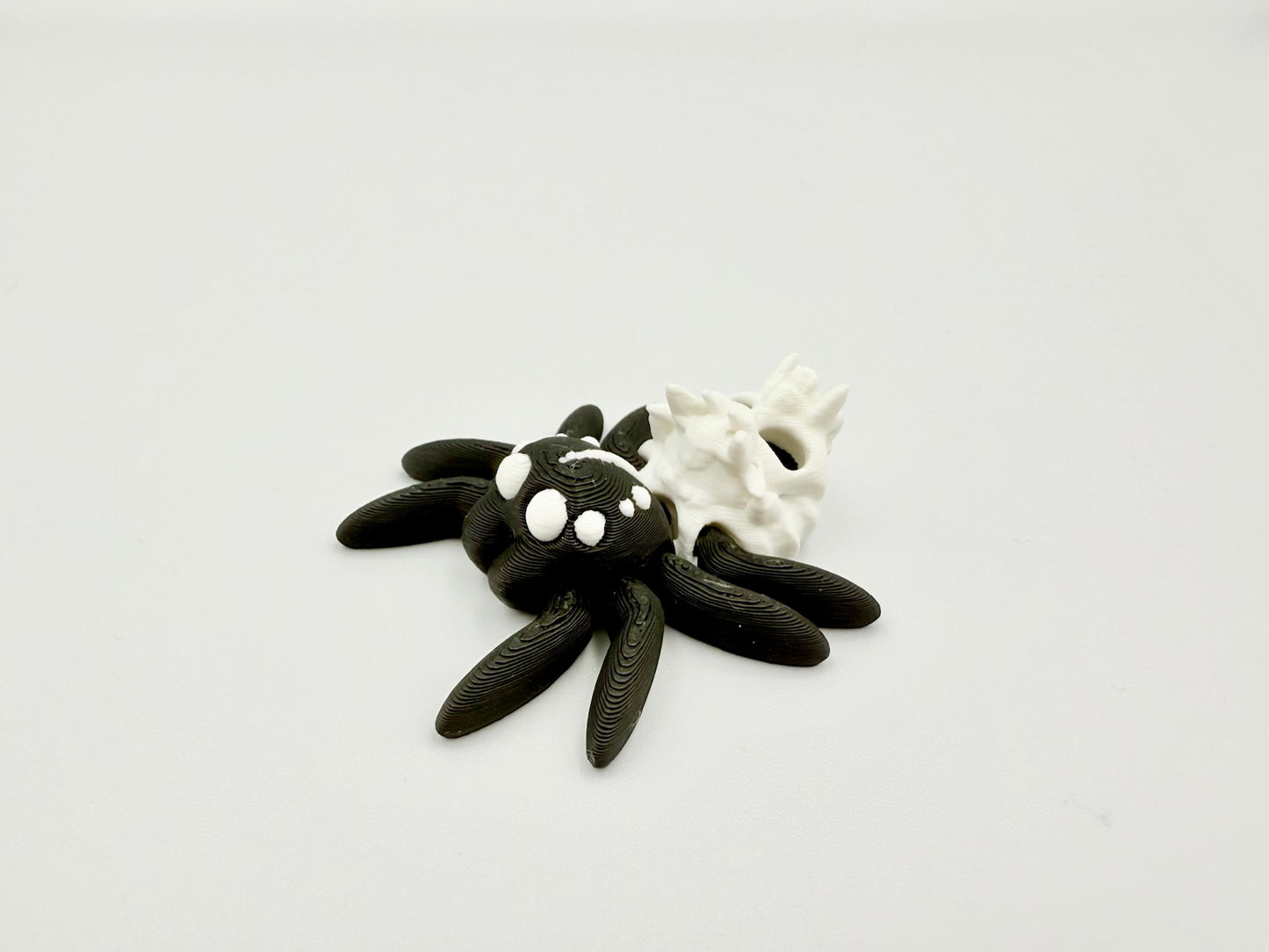 Totenkopf Spinne