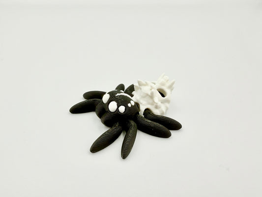 Totenkopf Spinne